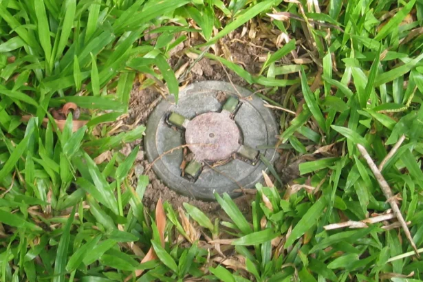 A round, olive-grey PMN-2 anti-personnel landmine half-buried in green grass