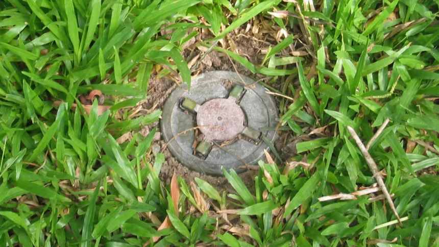 A round, olive-grey PMN-2 anti-personnel landmine half-buried in green grass